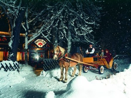 Kutscher führt eine Kutsche durch das winterliche Bled